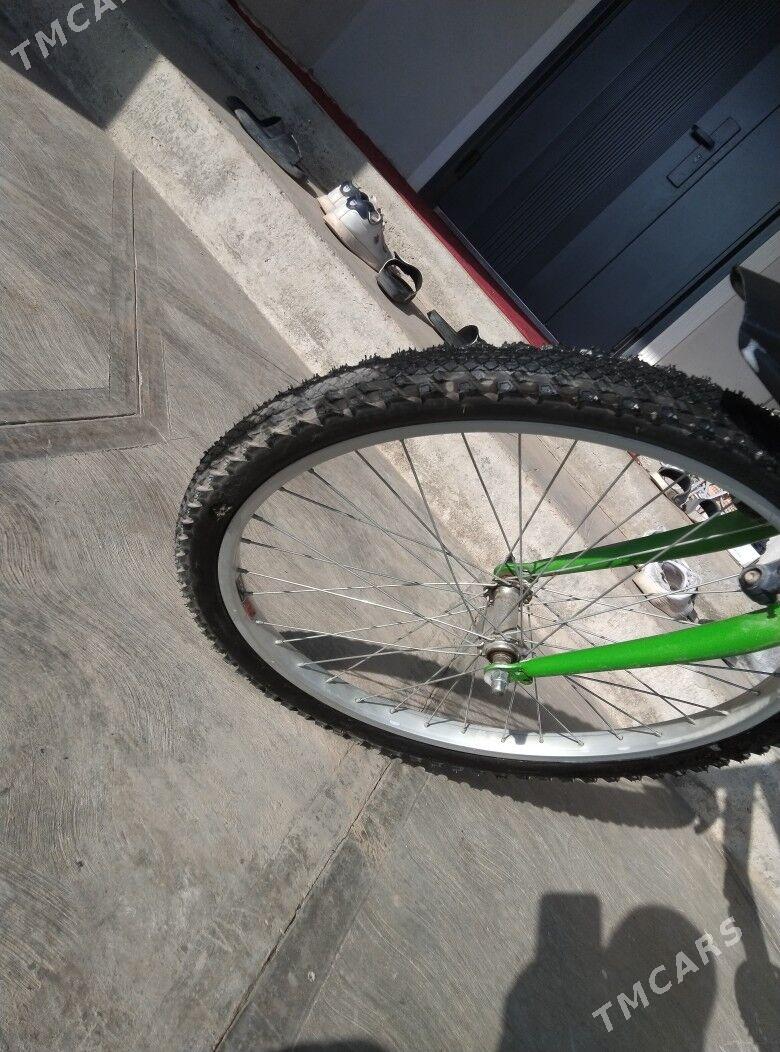 Welik - Türkmenabat - img 7