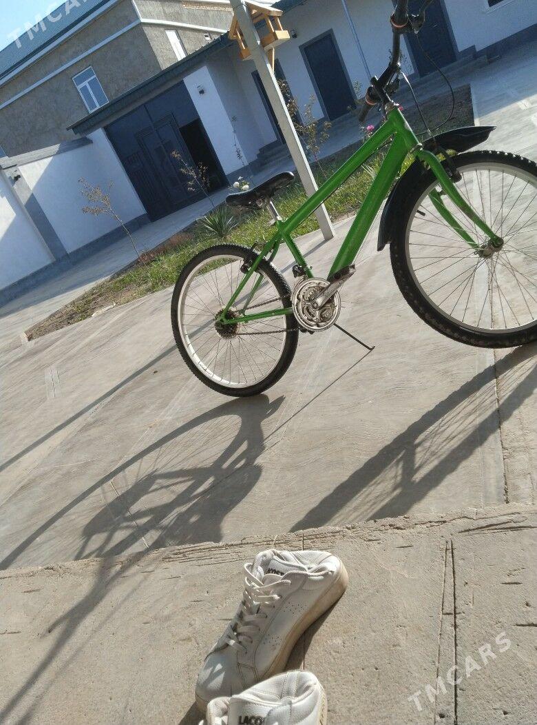 Welik - Türkmenabat - img 2