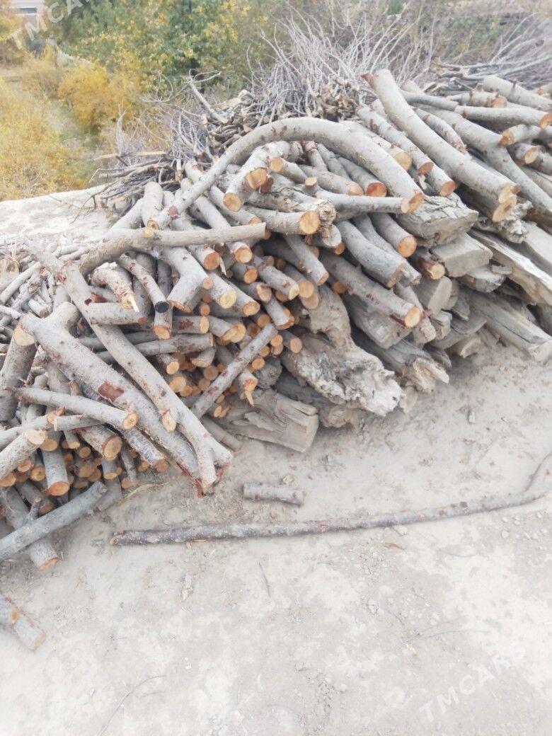 Odun - Дашогуз - img 1