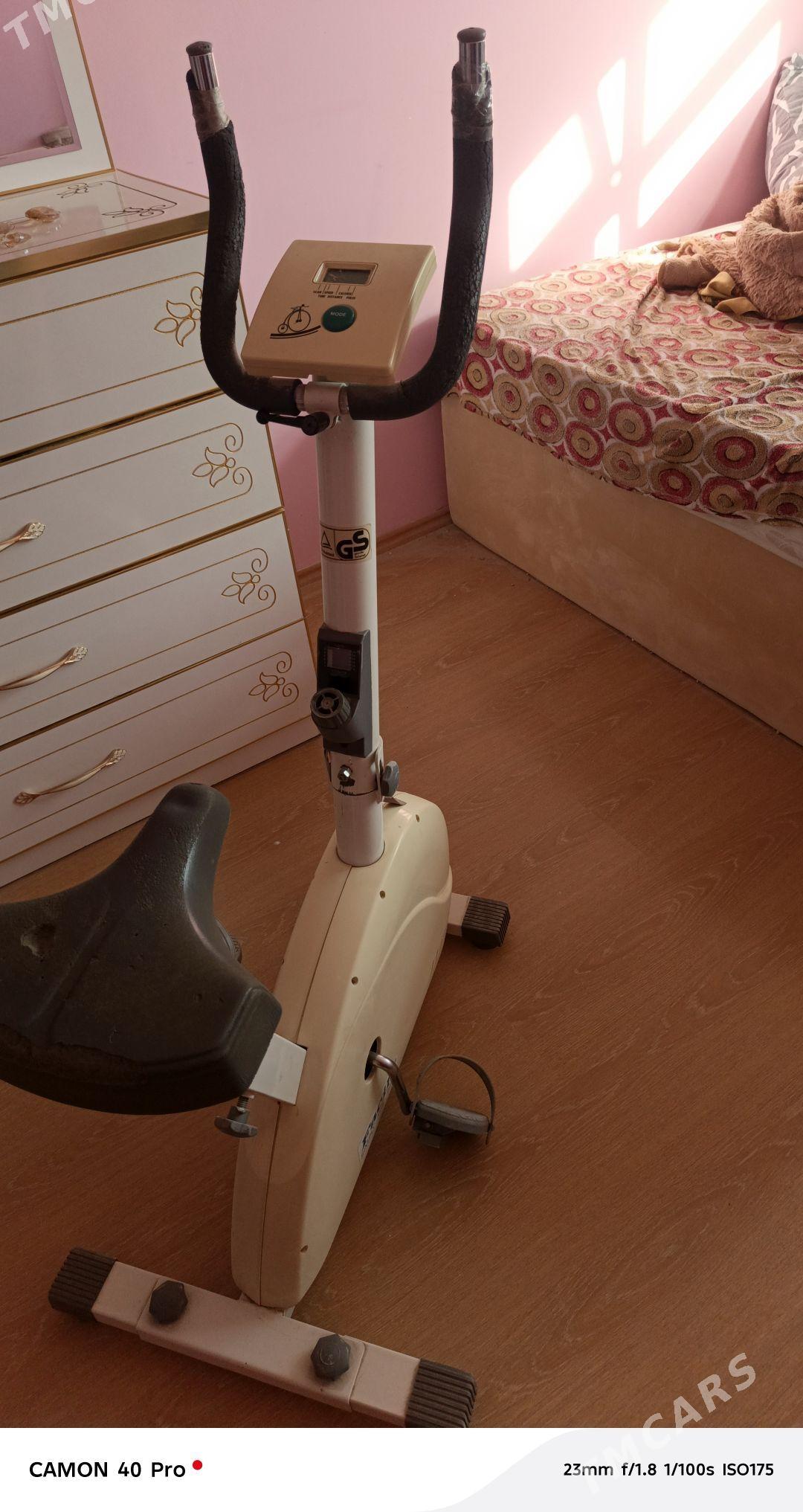 tiger - Мир 7 - img 2