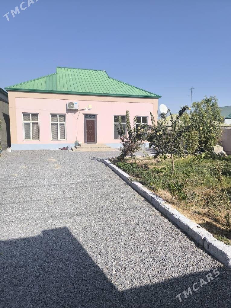 Bagyr mirewe/Багир миреве - Bagyr - img 1