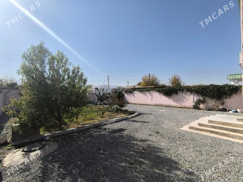 Bagyr mirewe/Багир миреве - Bagyr - img 2