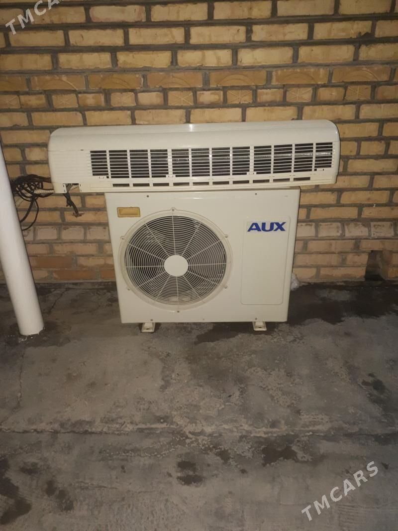 konsener - Mary - img 2