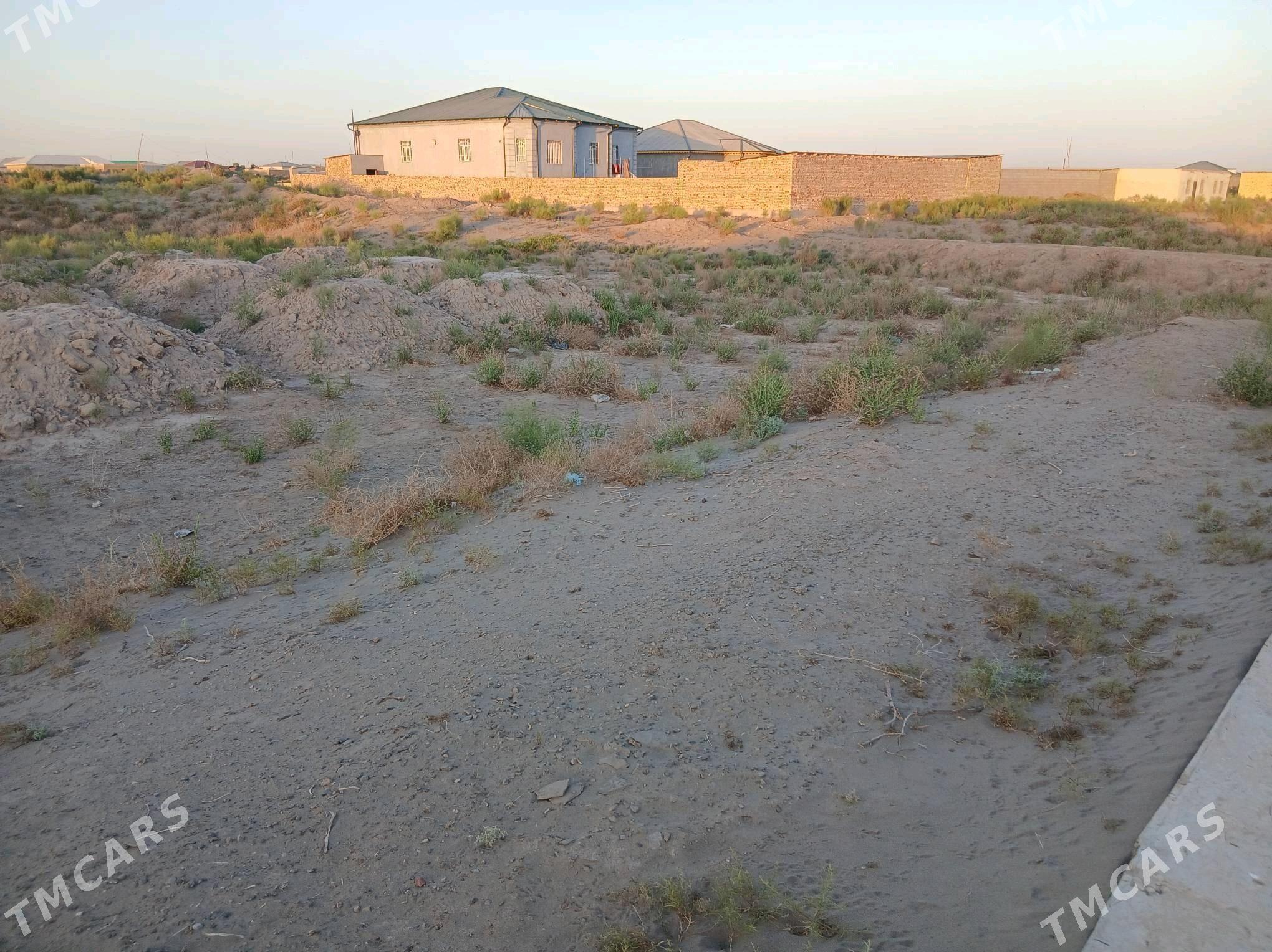 er - Daşoguz - img 3