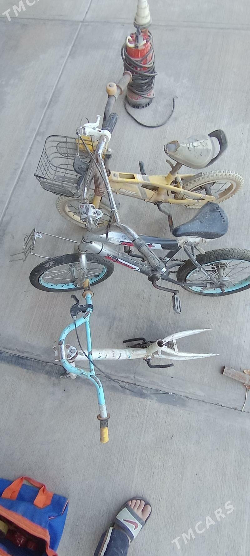 Tigirler - Херрикгала - img 1