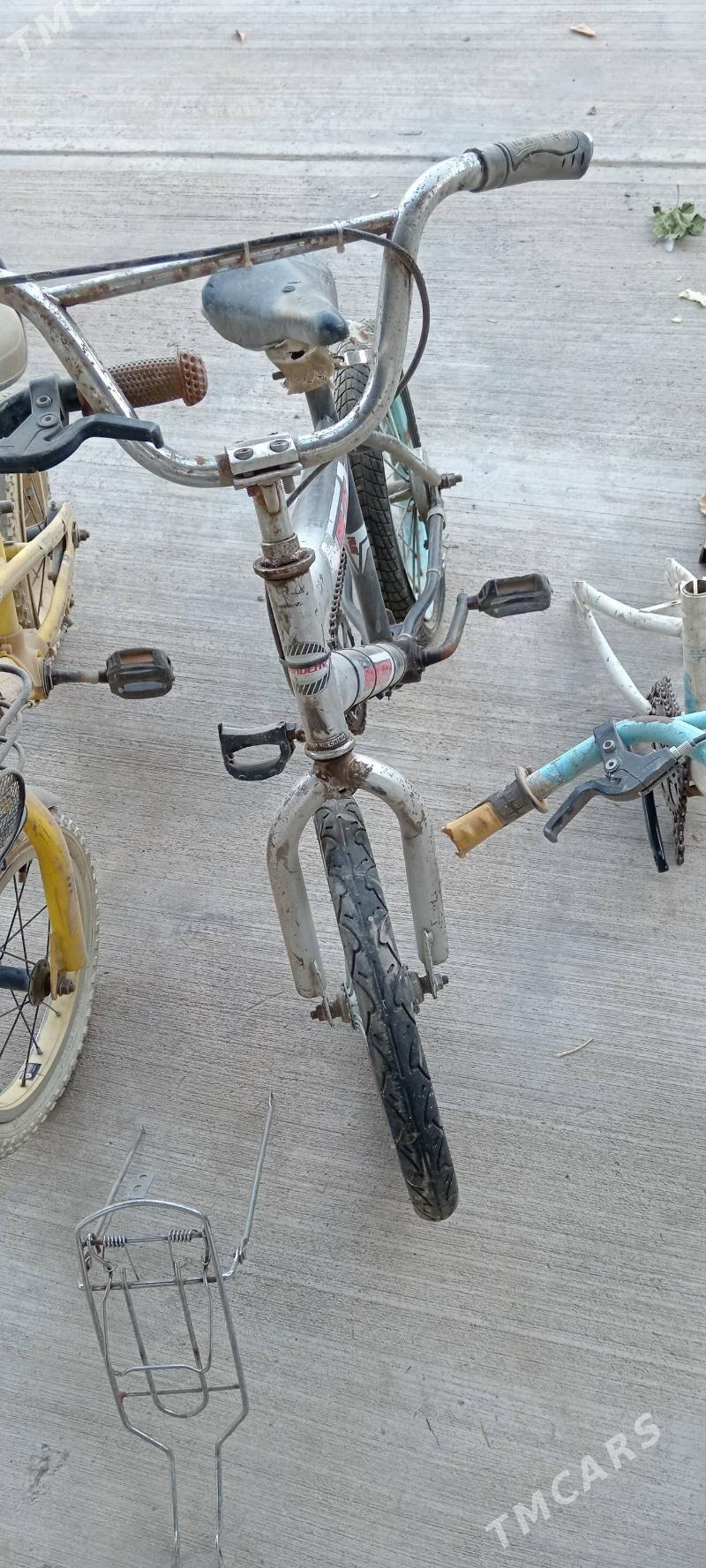 Tigirler - Херрикгала - img 2