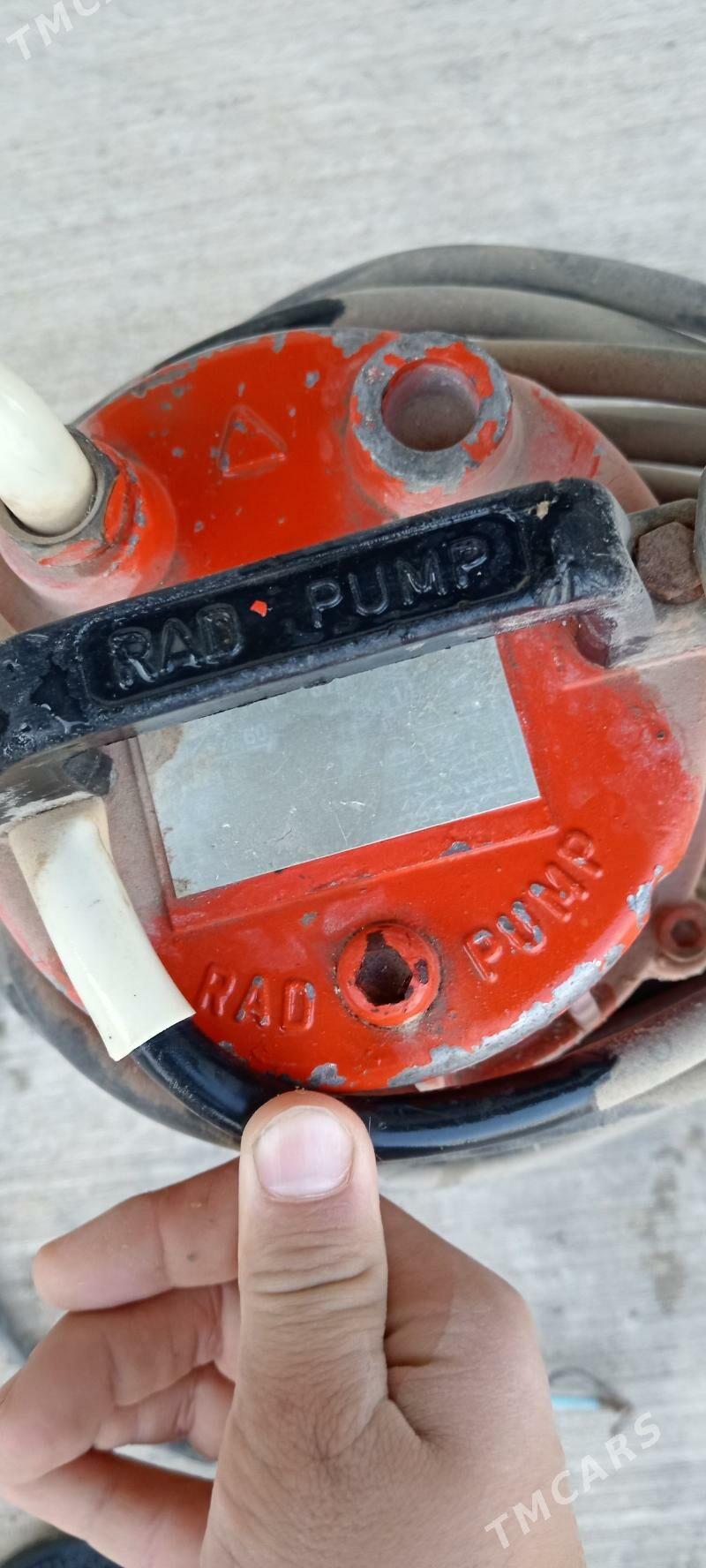 Suw suryan nasos - Херрикгала - img 2