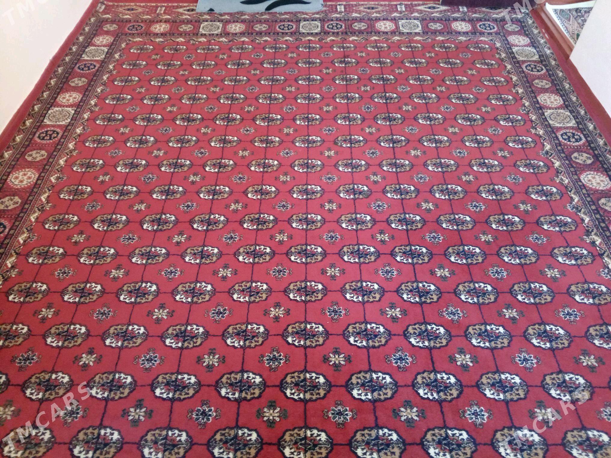 Haly - Ашхабад - img 1