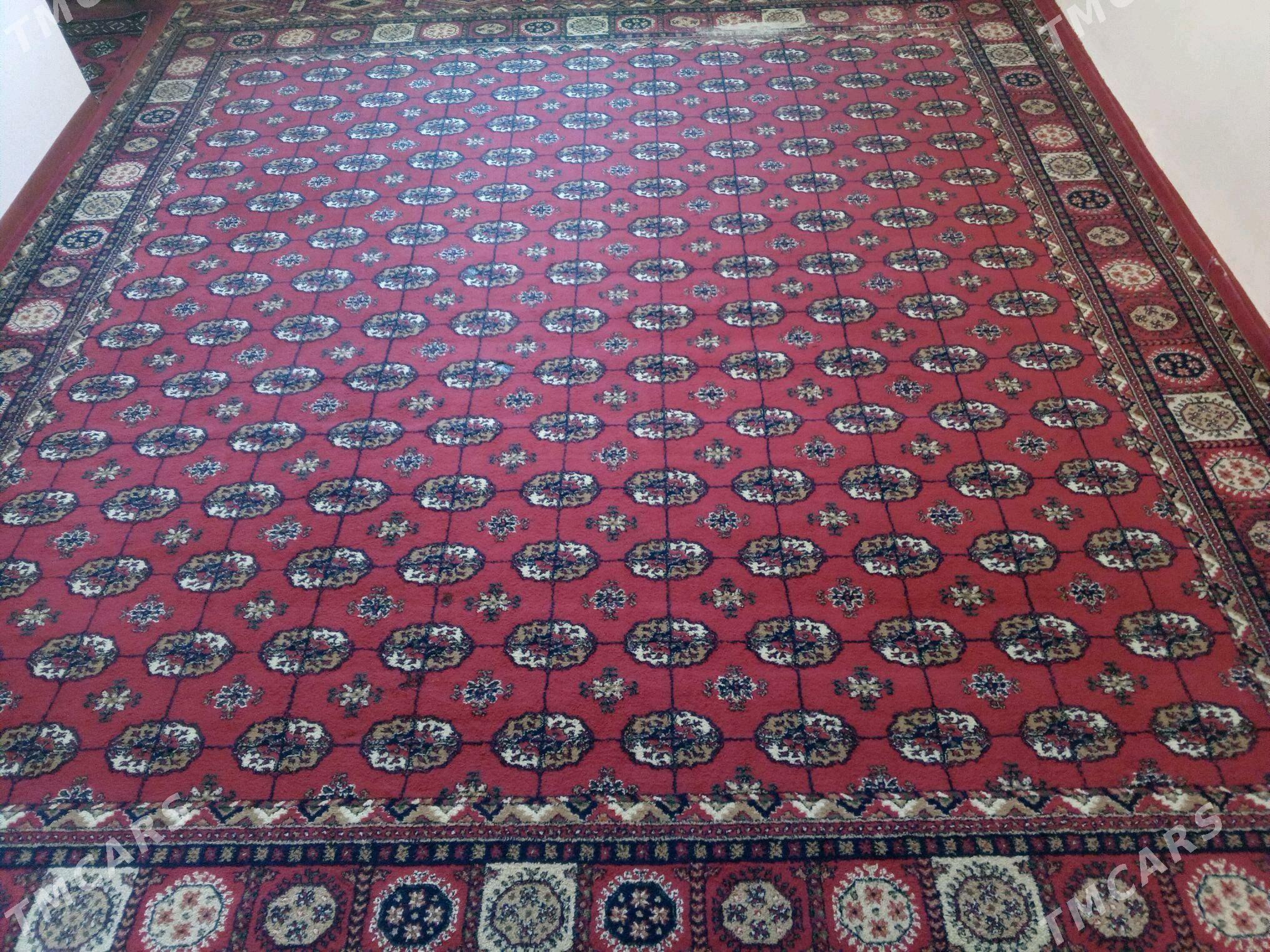 Haly - Ашхабад - img 2