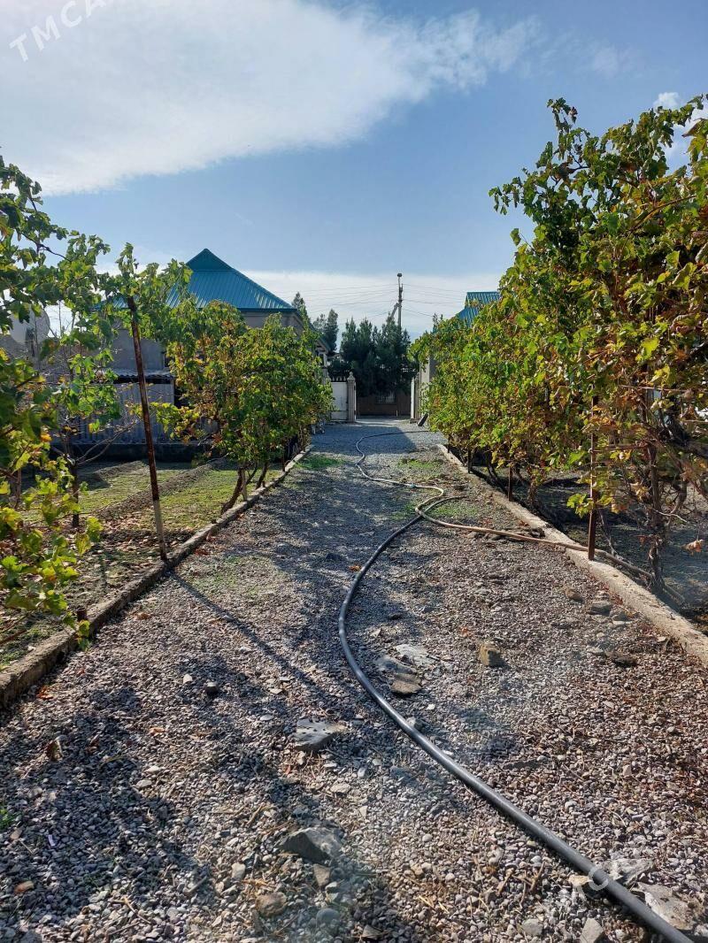 Ýer jaý Babarapda - Gökdepe - img 7