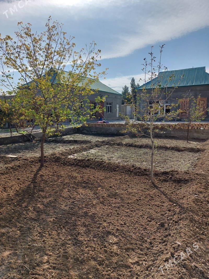 Ýer jaý Babarapda - Gökdepe - img 8