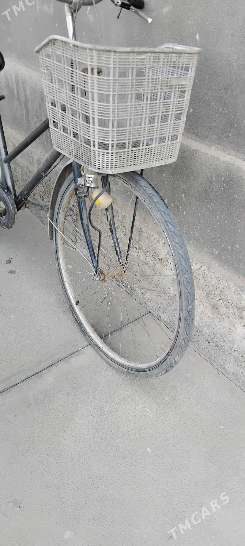 welik - Мургап - img 2