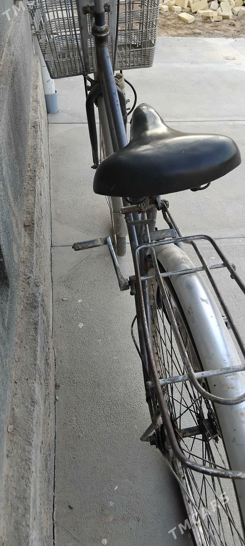 welik - Мургап - img 3