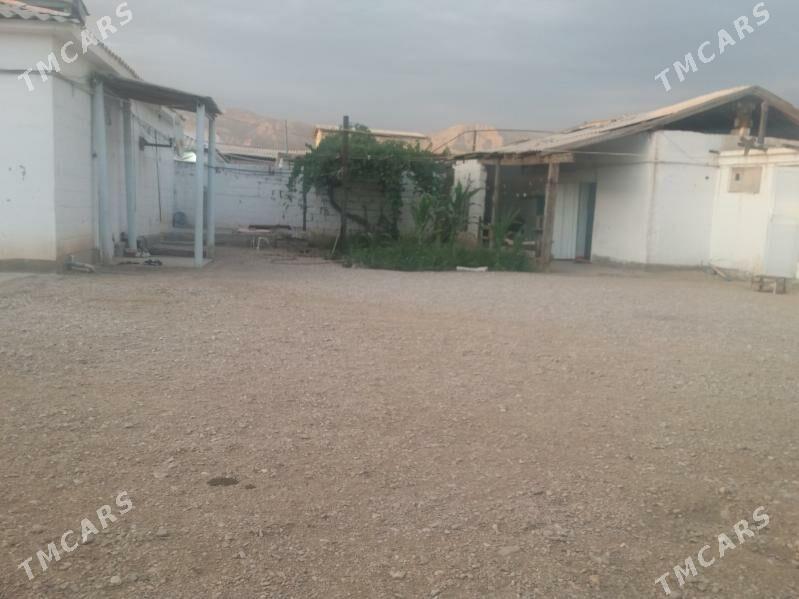 Satlyk Jay - Балканабат - img 3