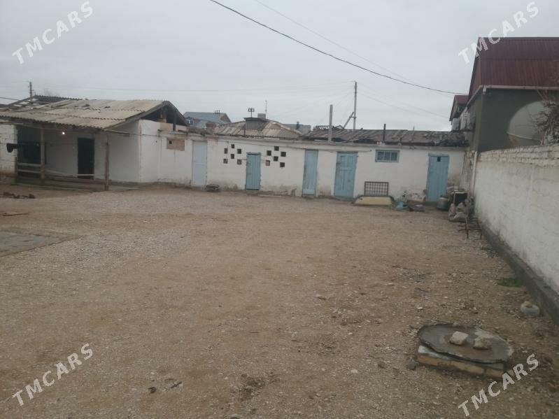 Satlyk Jay - Балканабат - img 2