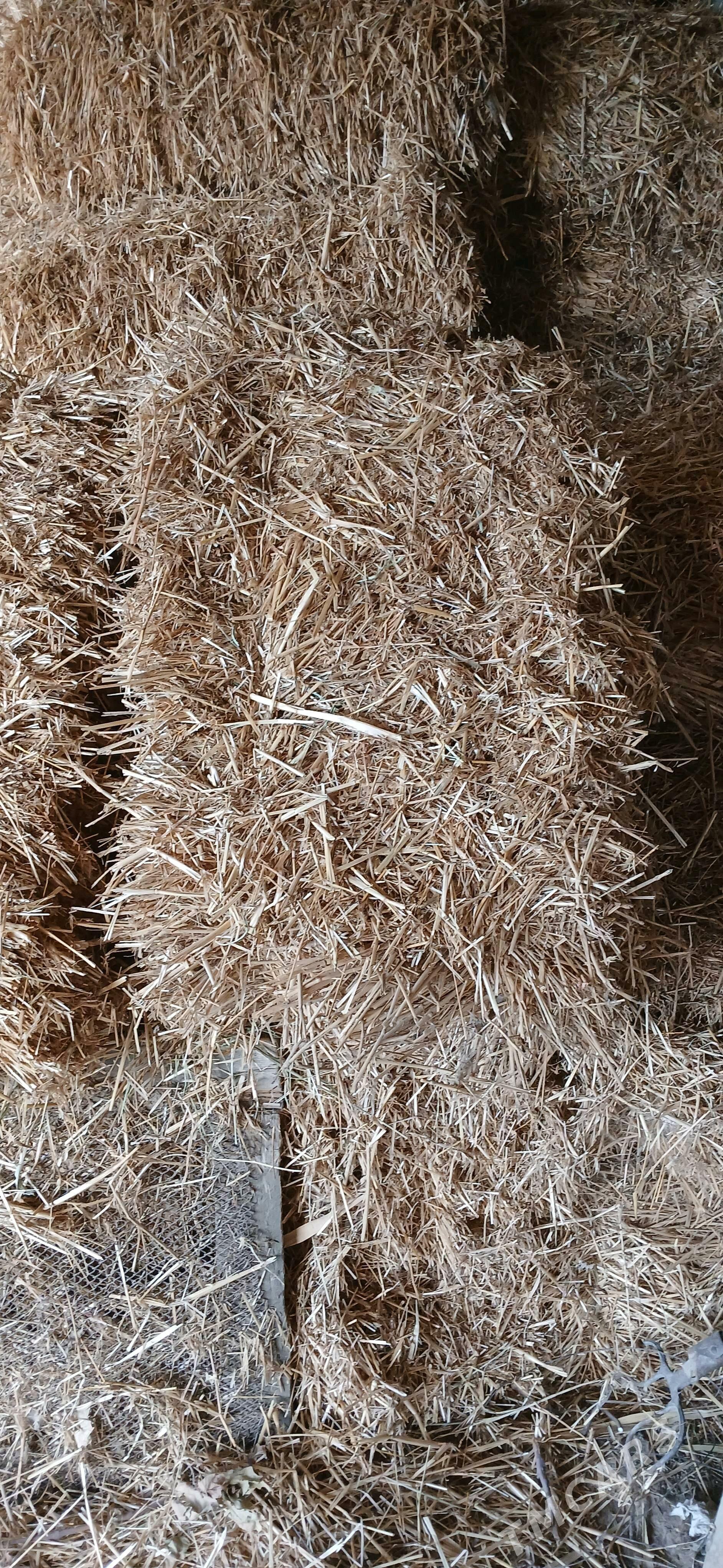 saman - Гёкдепе - img 3