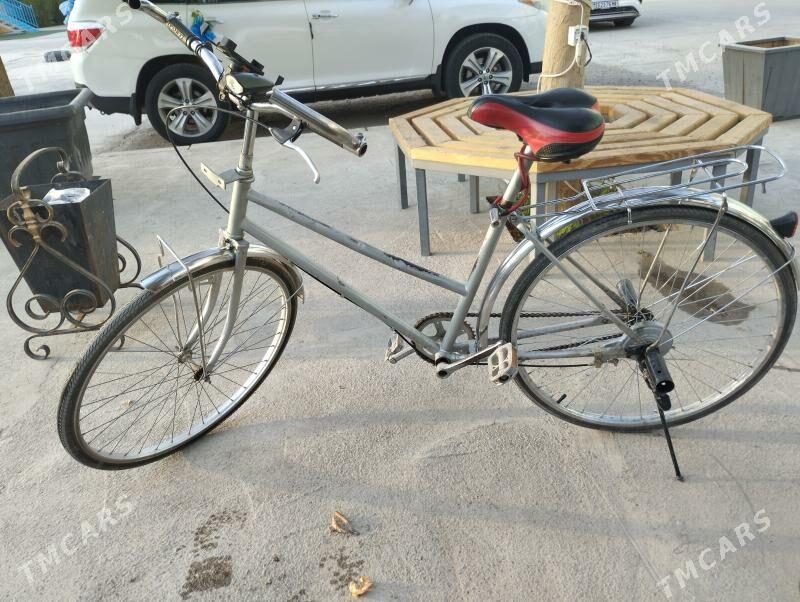 Tigir 26lyk - Mary - img 3