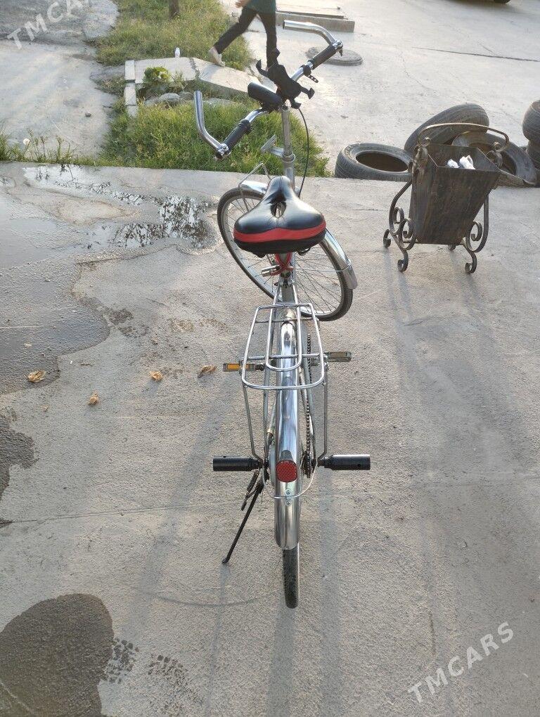 Tigir 26lyk - Mary - img 2