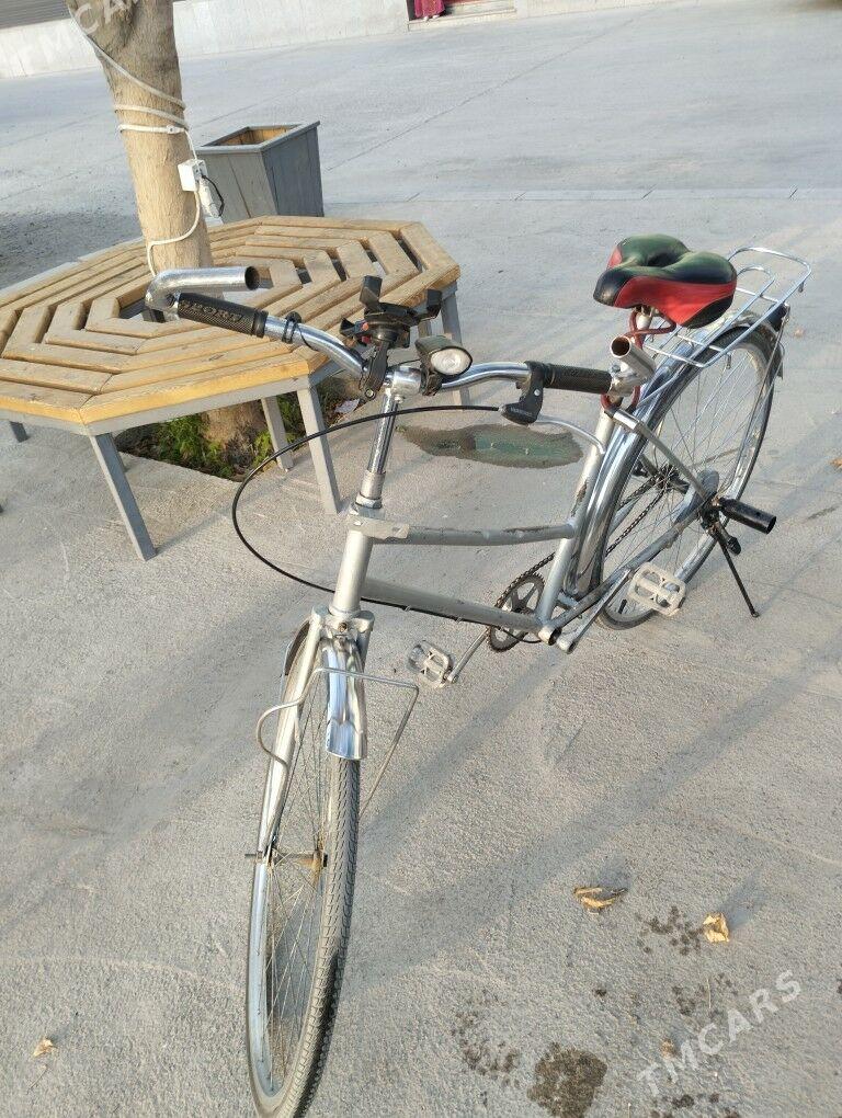 Tigir 26lyk - Mary - img 1