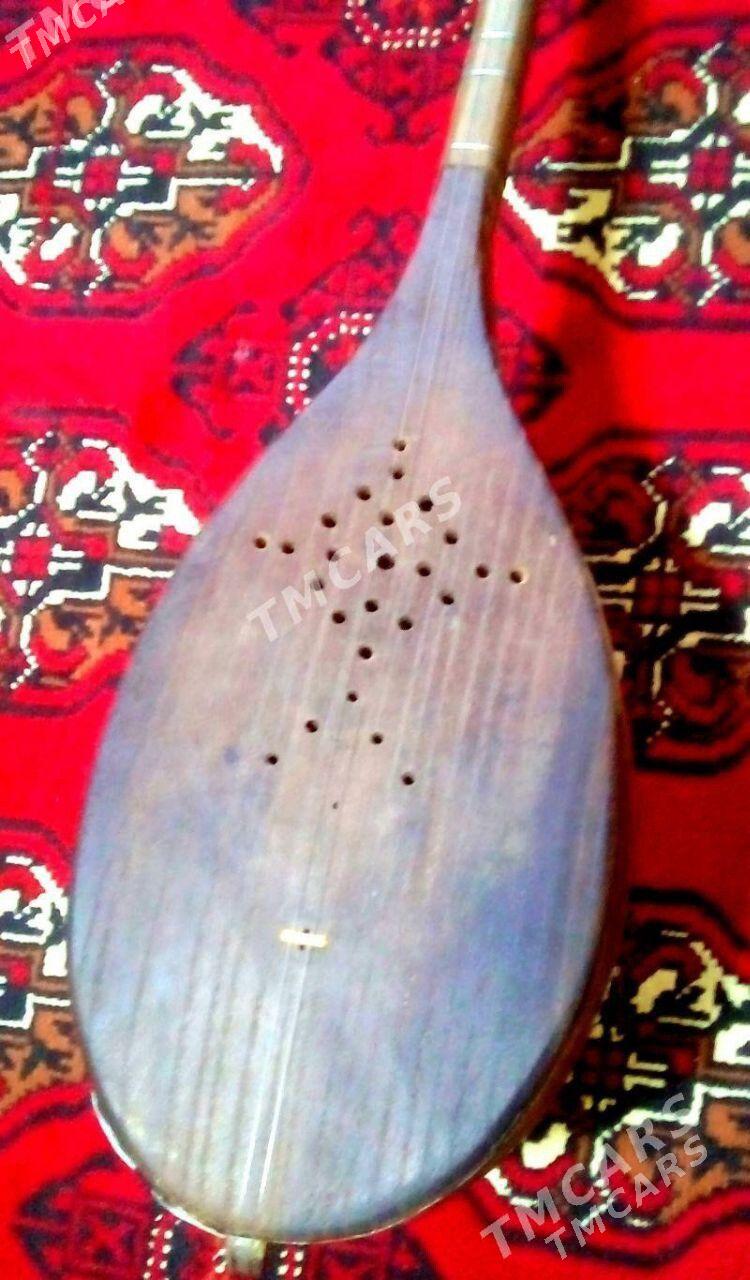 Dutar - Mary - img 4