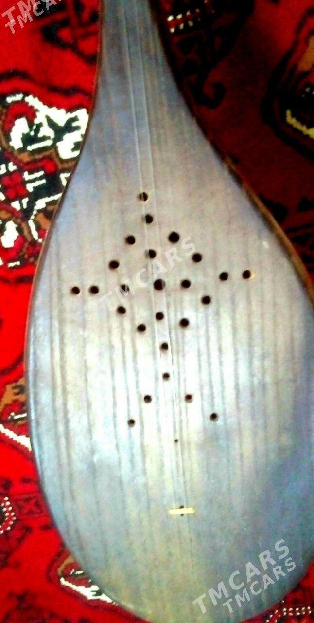 Dutar - Mary - img 6