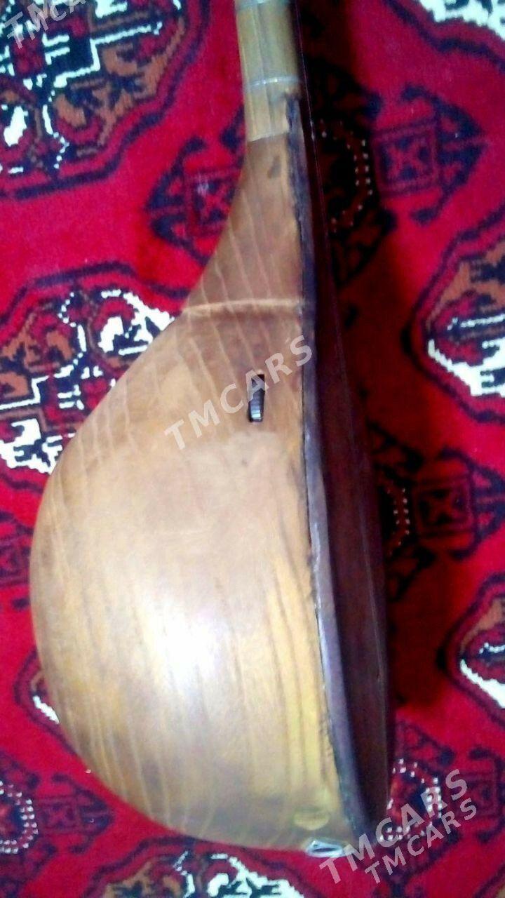 Dutar - Mary - img 5