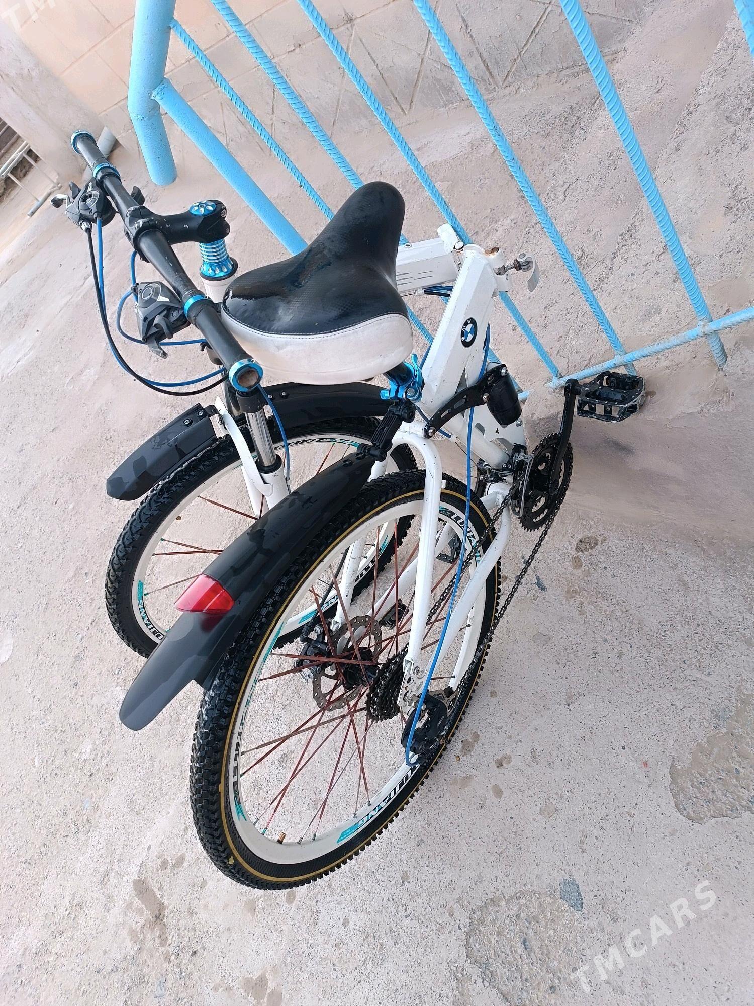 tigir BMW 26 - Tejen - img 3