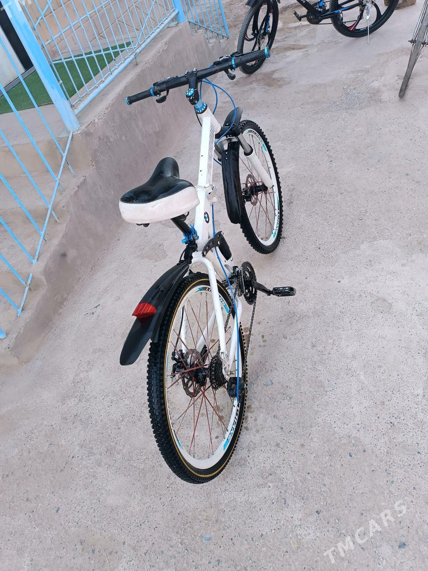 tigir BMW 26 - Tejen - img 2