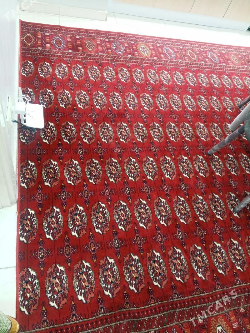 Haly - Aşgabat - img 2