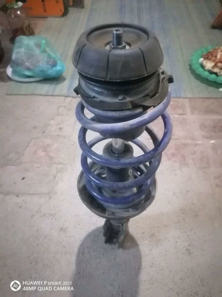 Amatizator purzin seli 200 TMT - Шабатский этрап - img 2