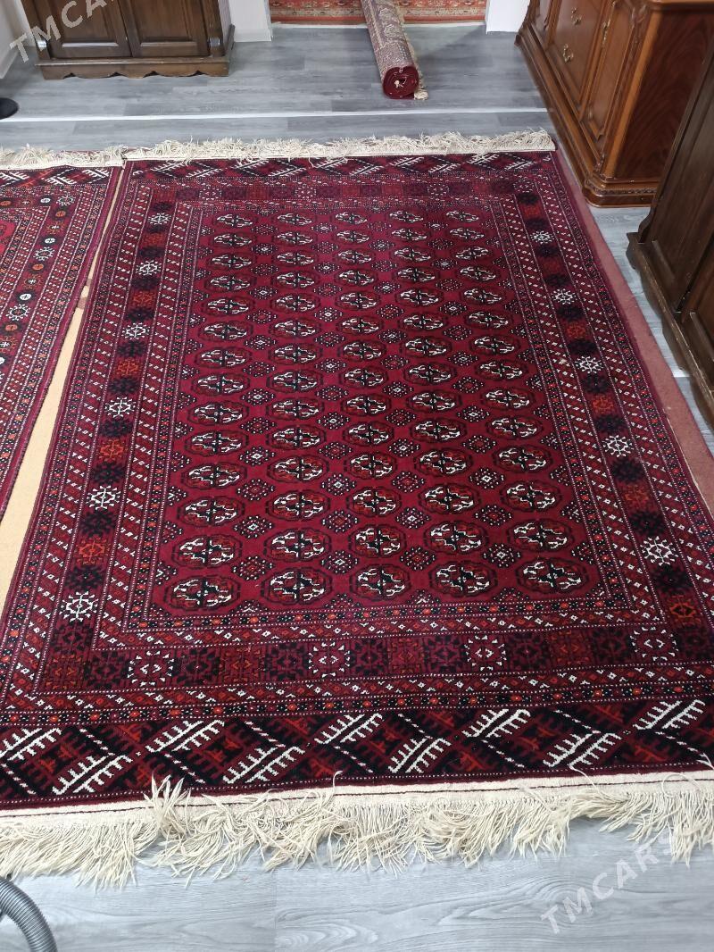 el haly(ковры ручной работы) - Ашхабад - img 2