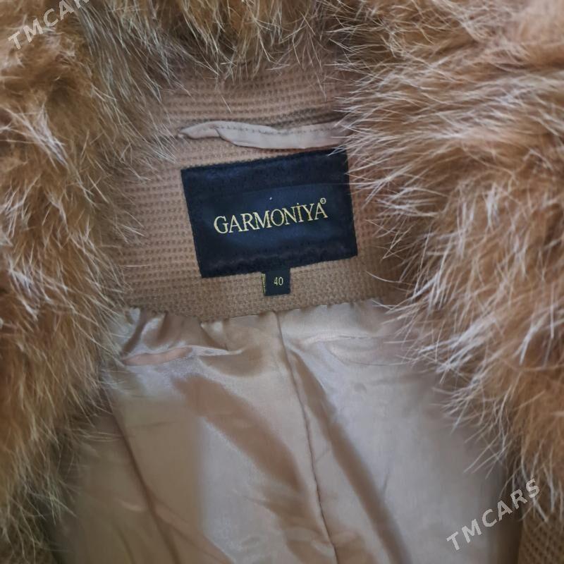 Polto türkünki - Туркменбаши - img 2