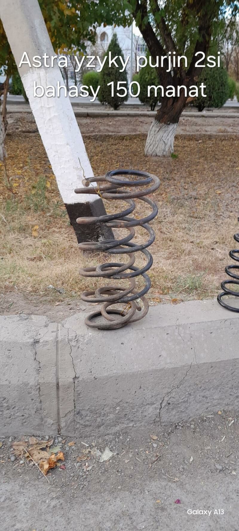 ASTRA VEKTRA B YZKY PURJİNLARY 250 TMT - Дашогуз - img 3