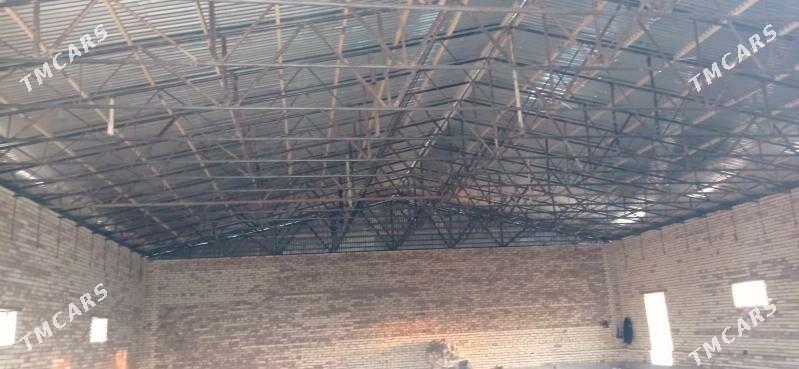 sklat ya seh - Mary - img 4