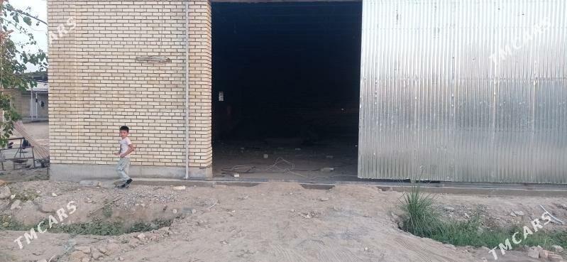 sklat ya seh - Mary - img 2