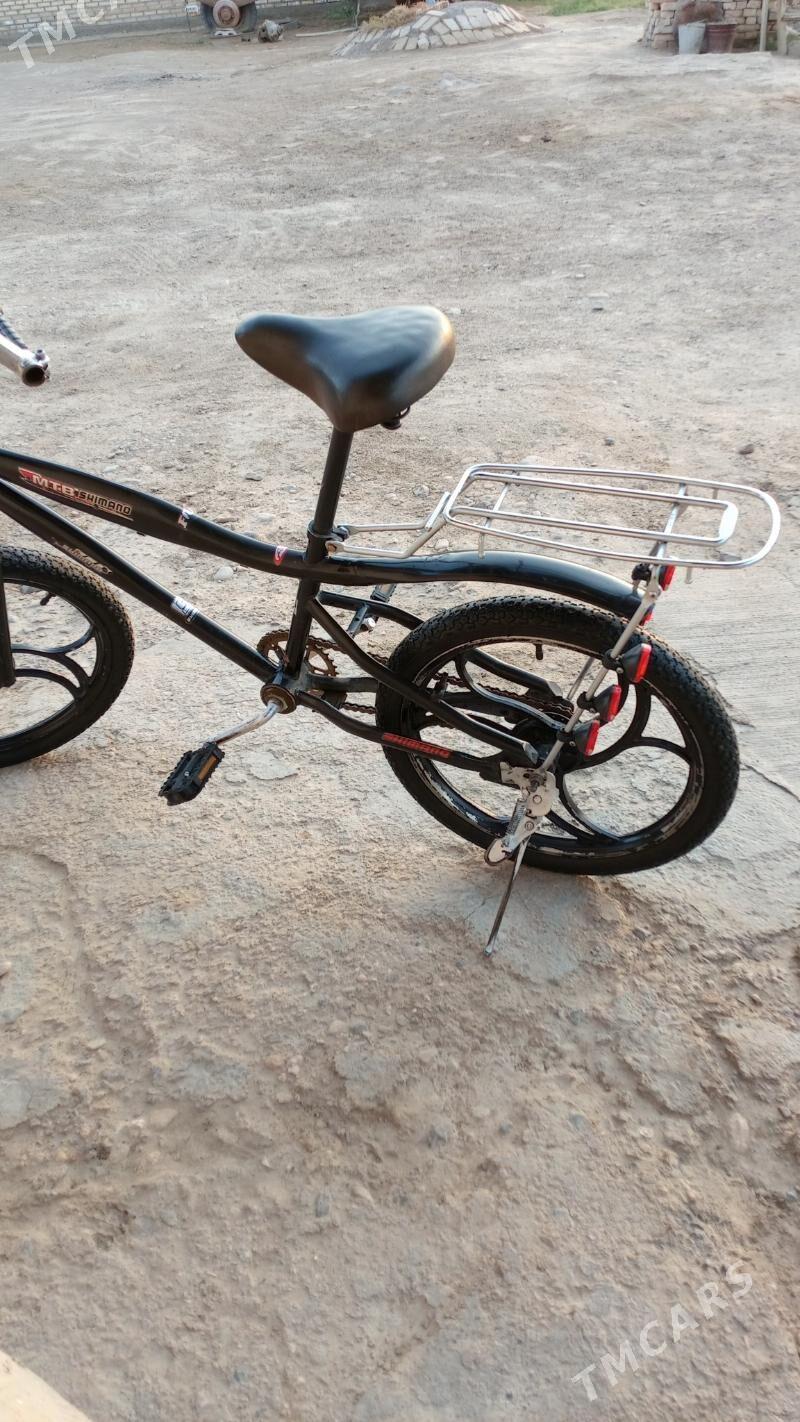 tigir - Туркменгала - img 3