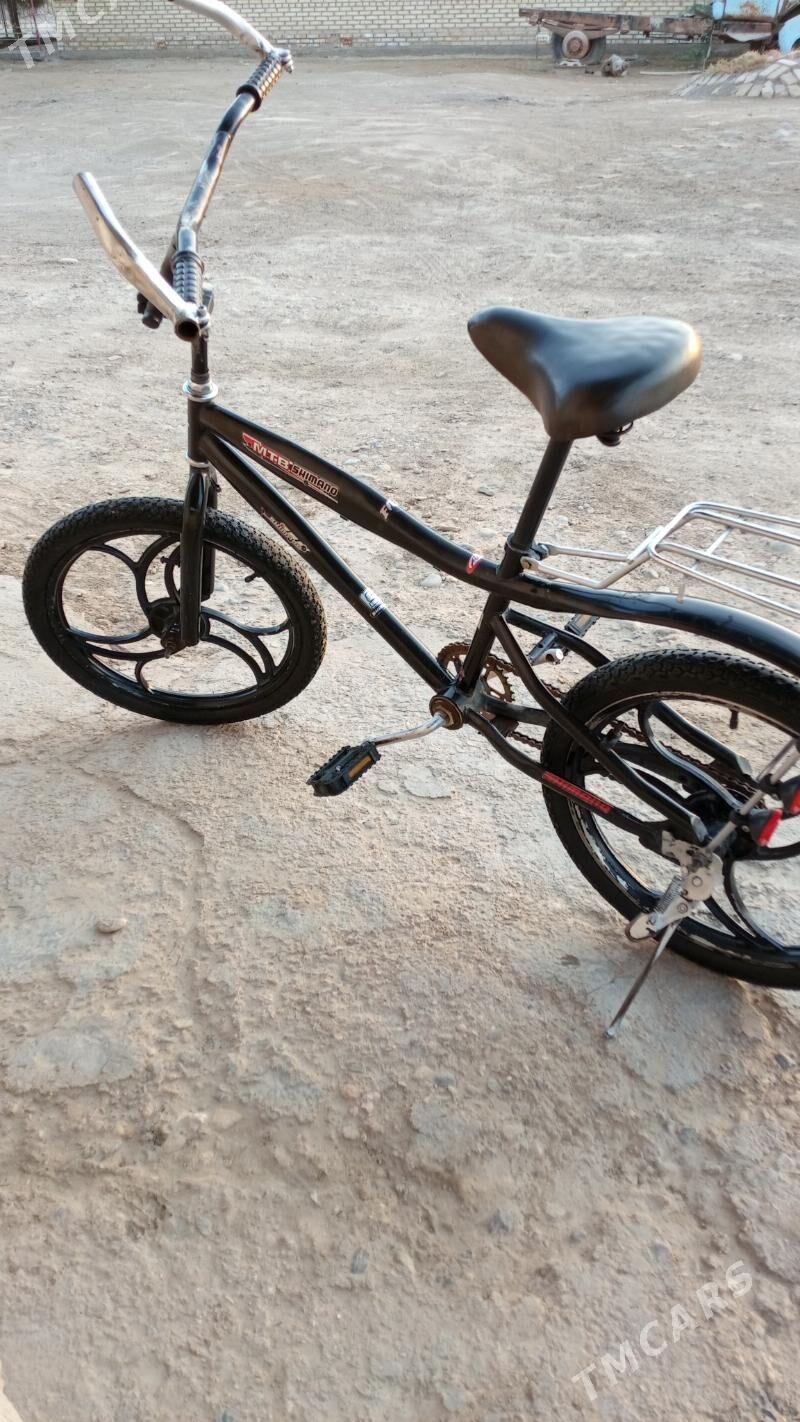 tigir - Туркменгала - img 1