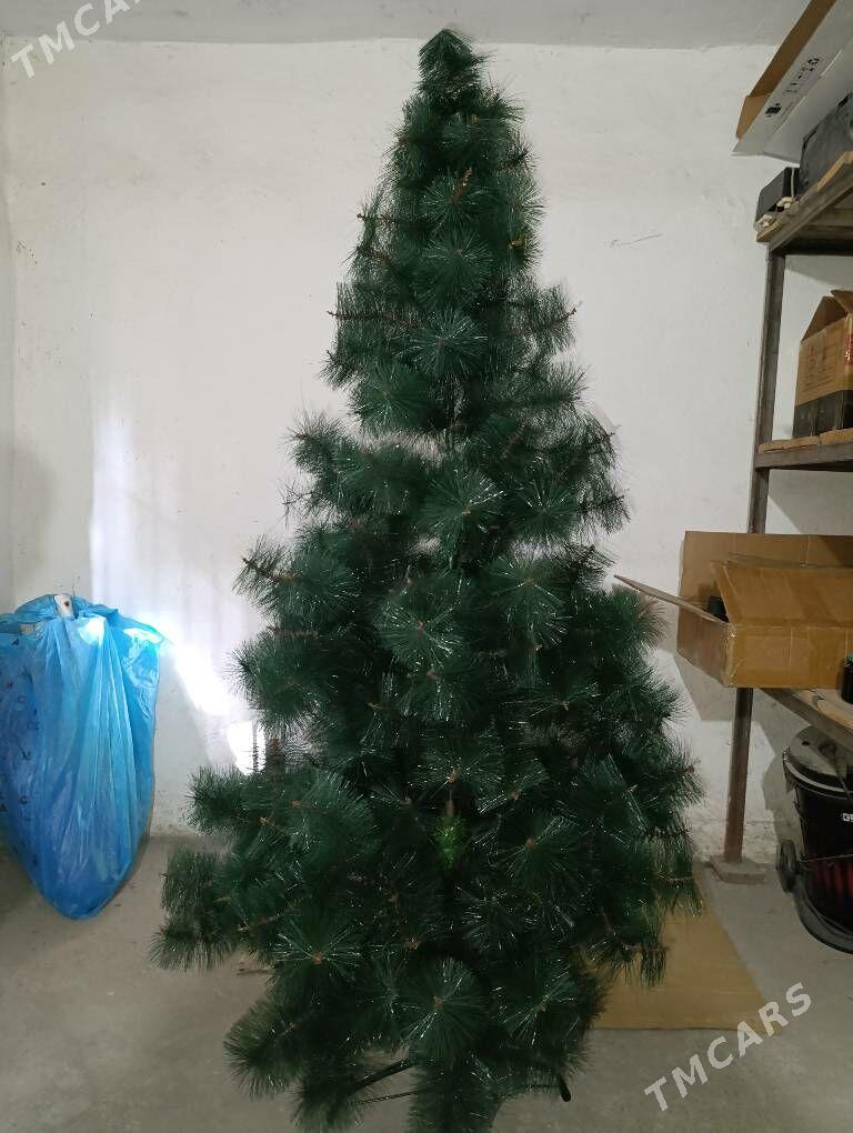 ýolka - Aşgabat - img 3