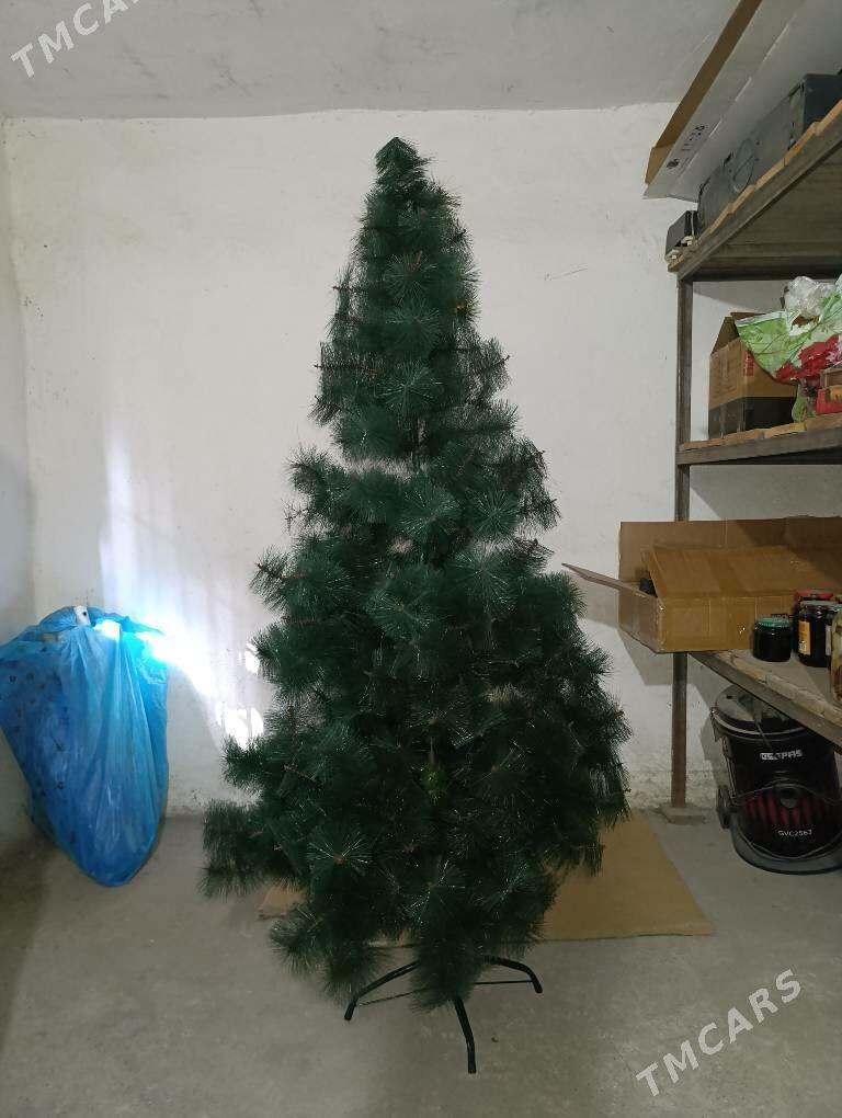 ýolka - Aşgabat - img 2