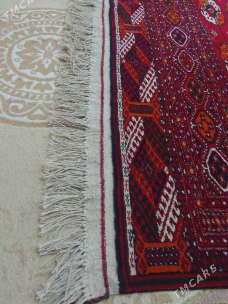 El haly - Бузмеин - img 5