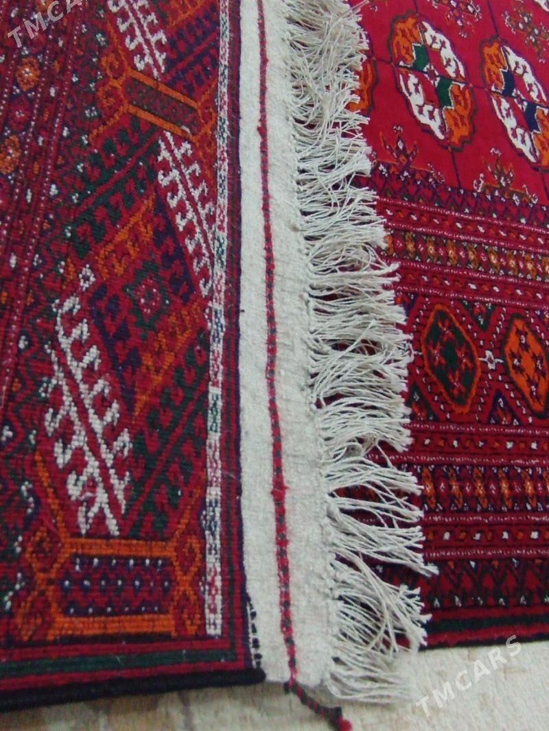 El haly - Бузмеин - img 7