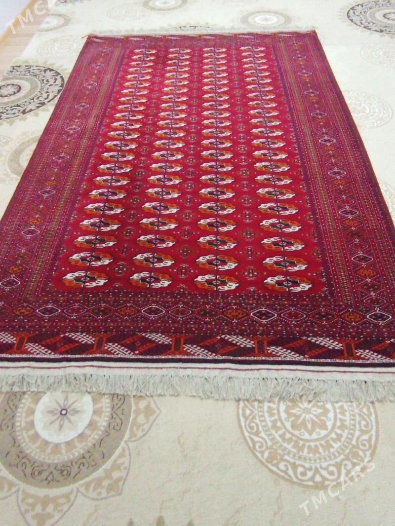 El haly - Бузмеин - img 3