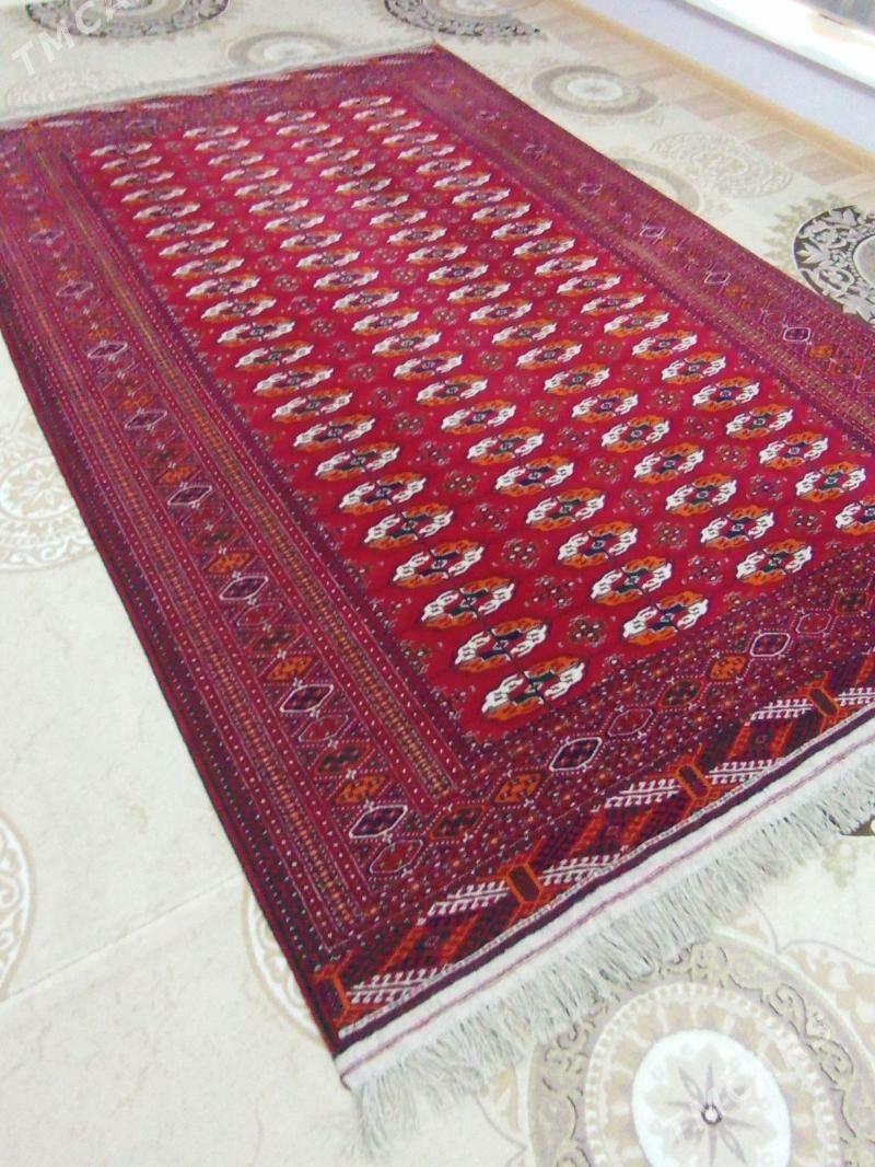 El haly - Бузмеин - img 4