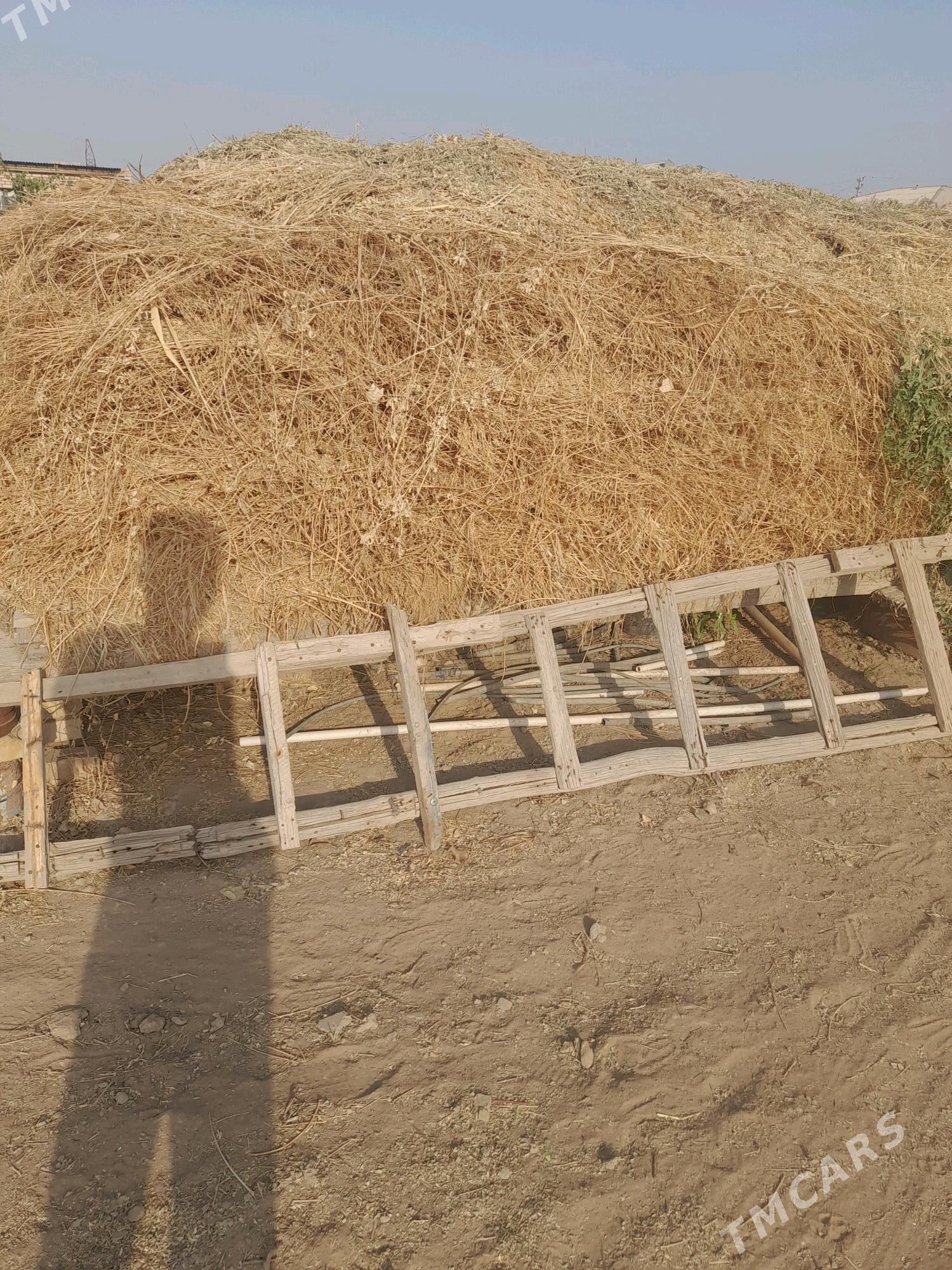 yorunja - Wekilbazar - img 2