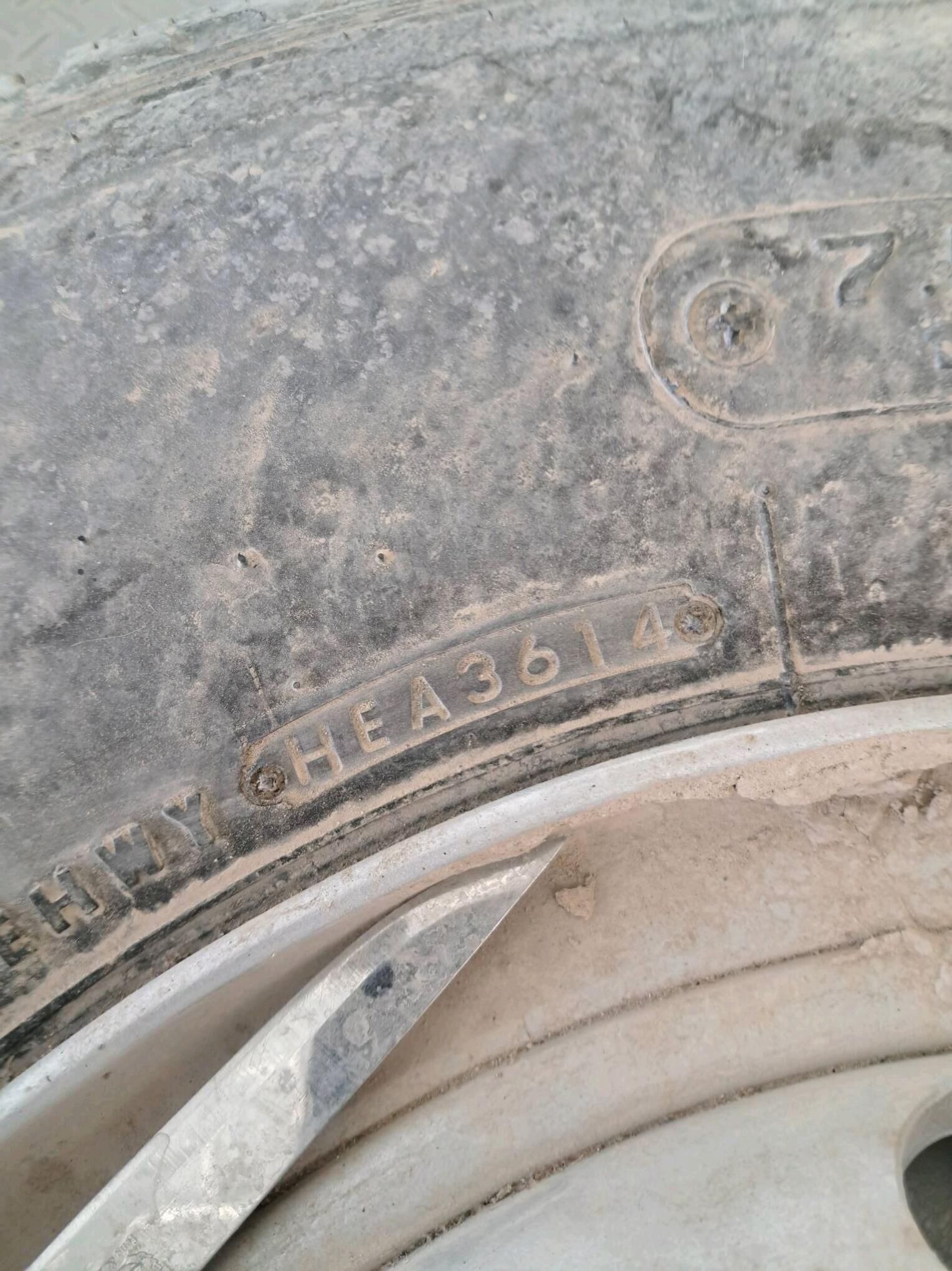 Ganter 10 000 TMT - Büzmeýin - img 2