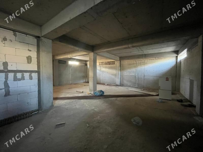 anew kotej - Änew - img 9