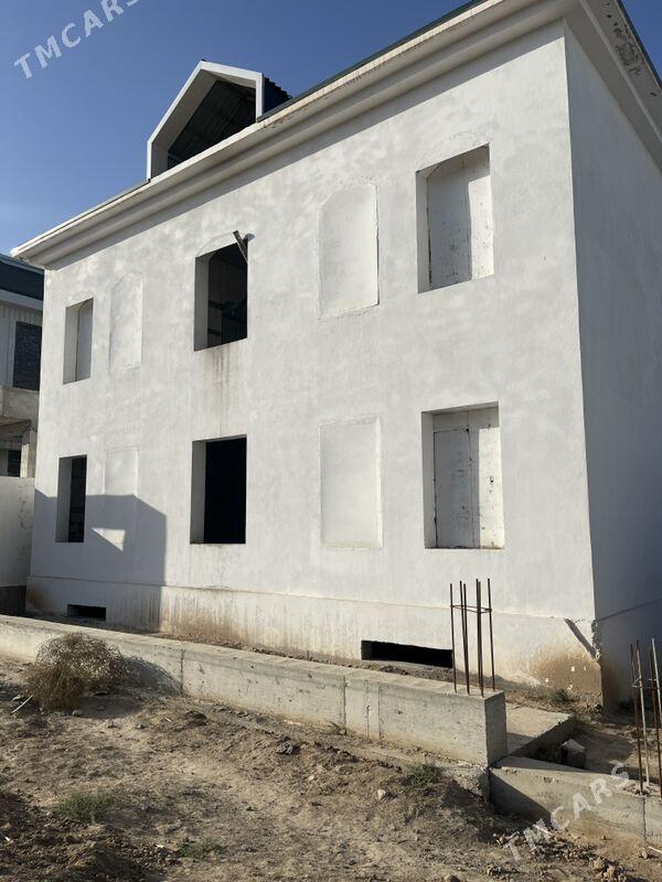 anew kotej - Änew - img 2