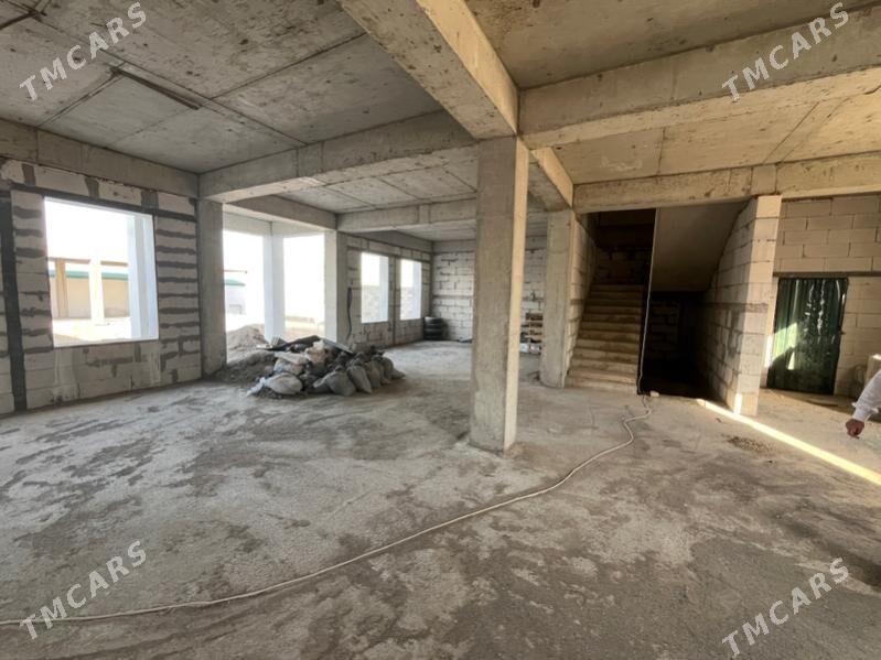 anew kotej - Änew - img 7