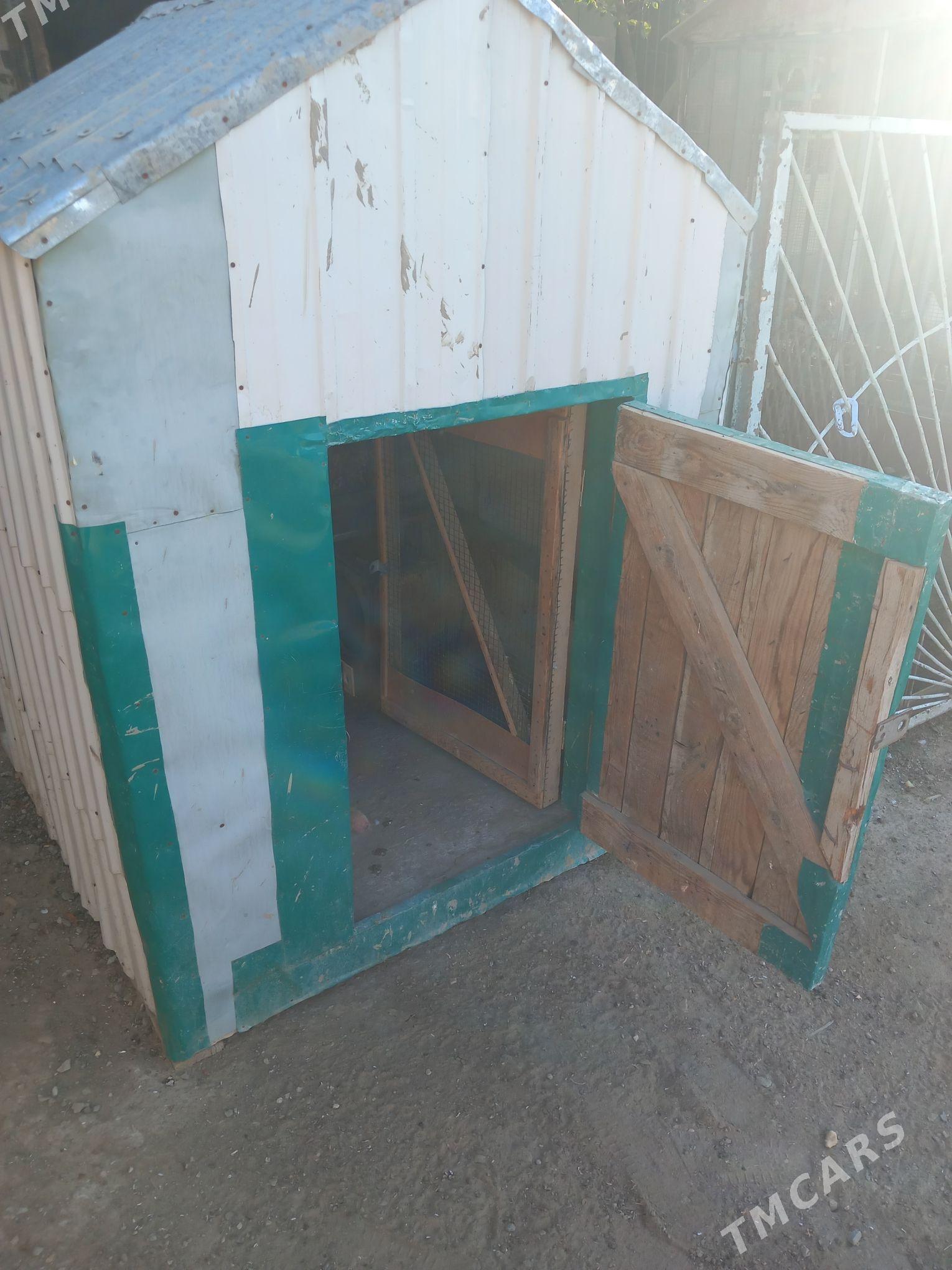 Ketek - Bereket - img 3