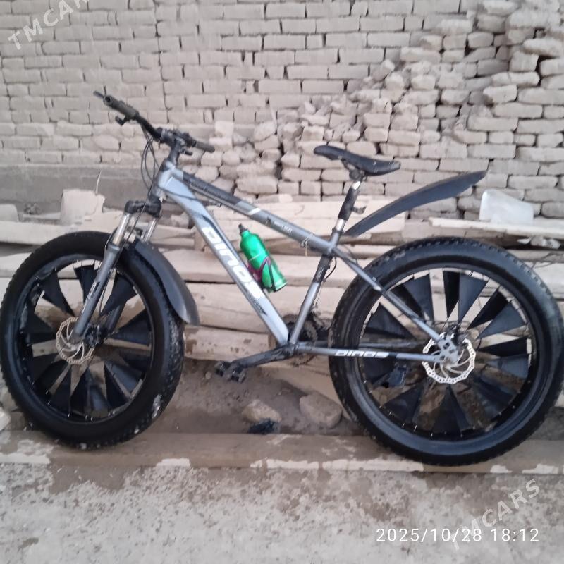 tigir - Daşoguz - img 4